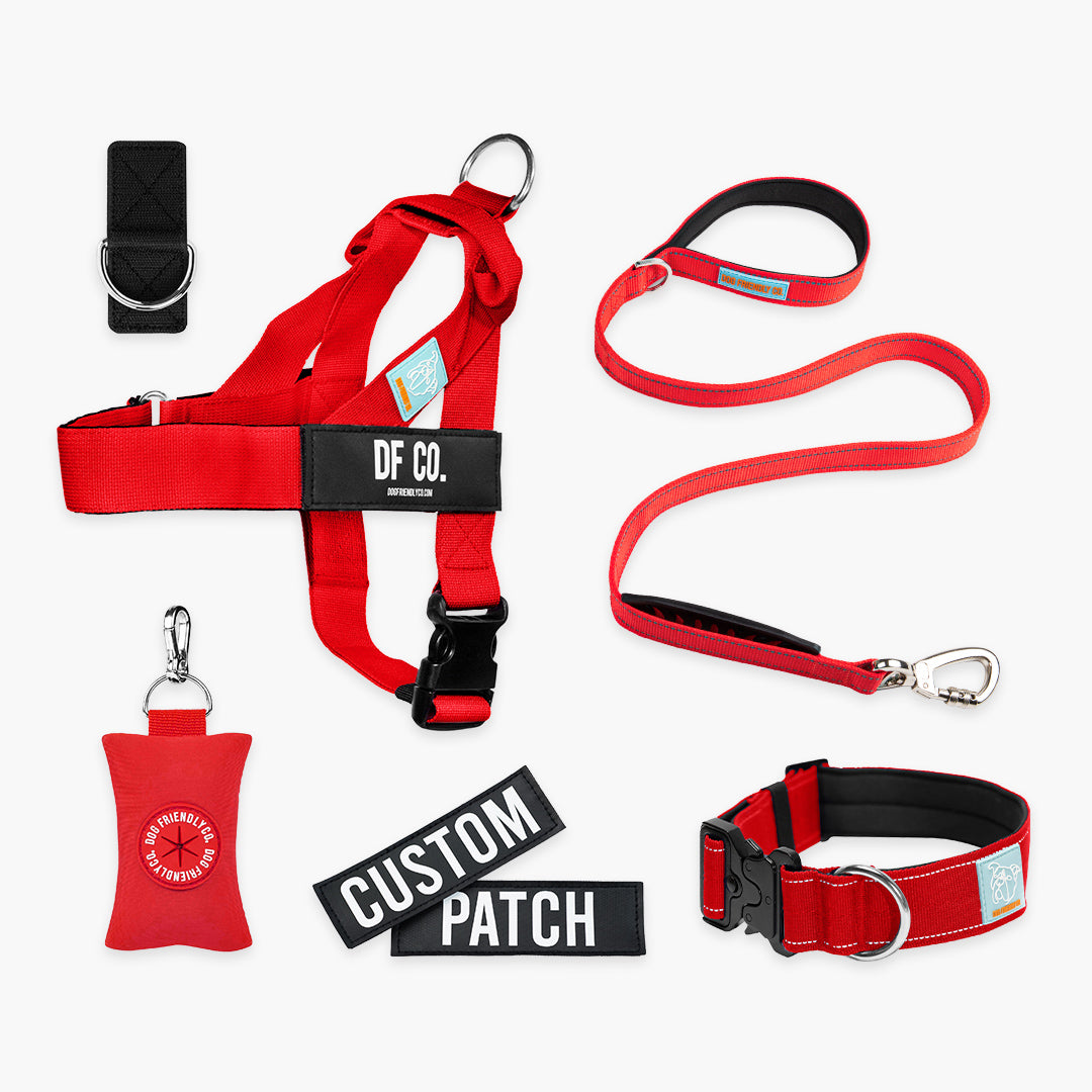 Ultimate No-Pull Bundle – Influencer Exclusive (Black)