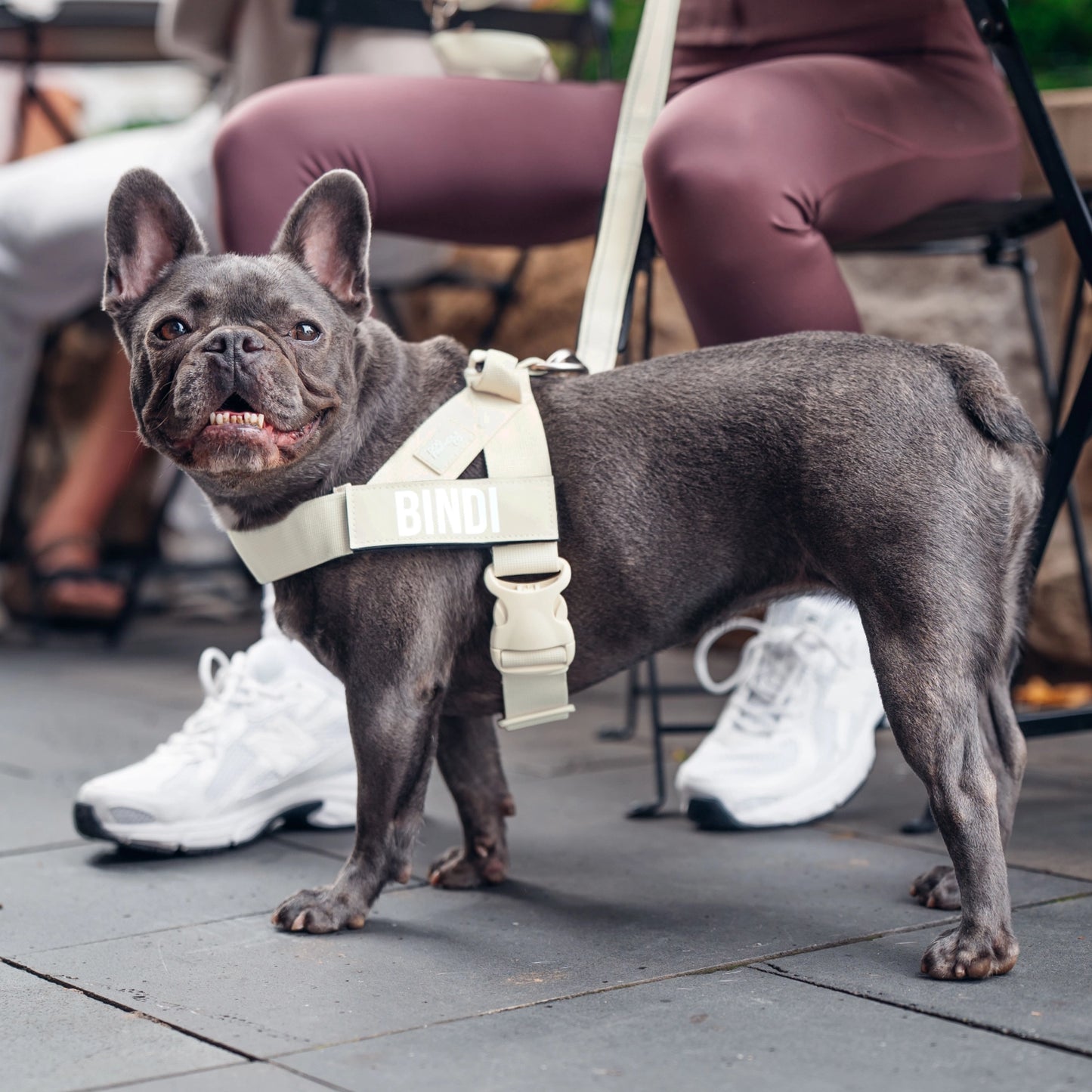 Ultimate No-Pull Bundle - Limited Edition Latte