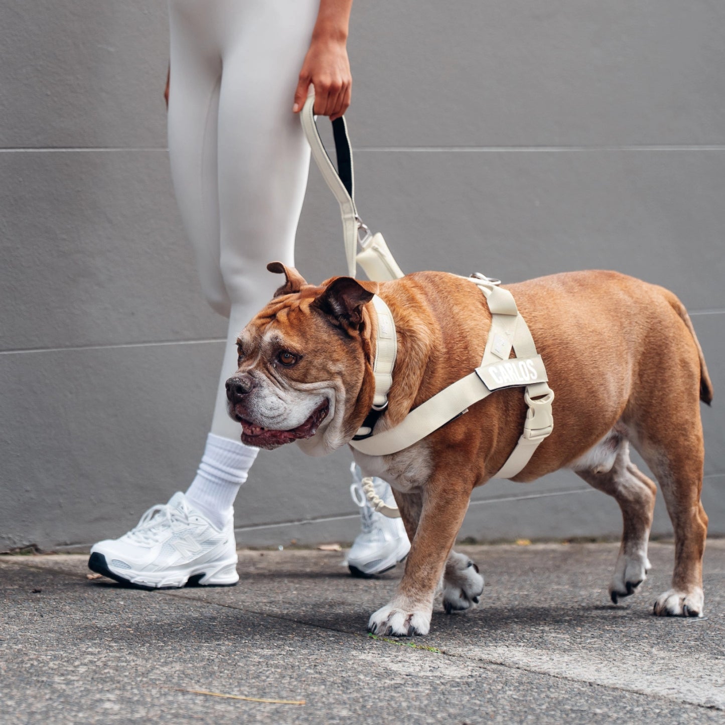 Ultimate No-Pull Bundle - Limited Edition Latte