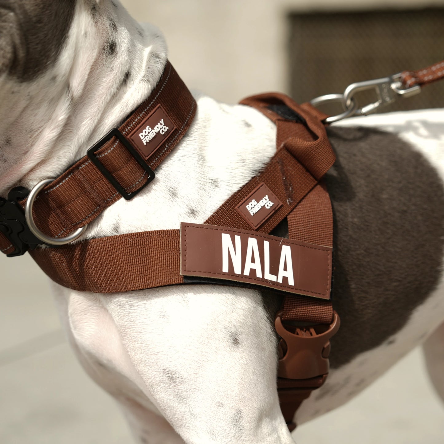 Ultimate No-Pull Bundle - Limited Edition Mocha