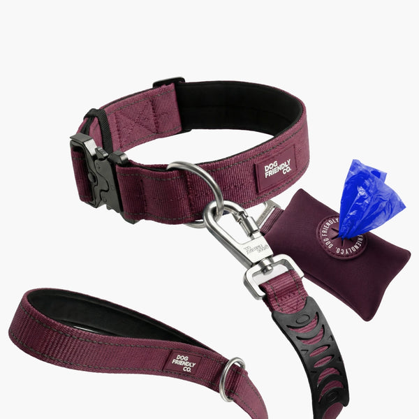 Collar Walk Set