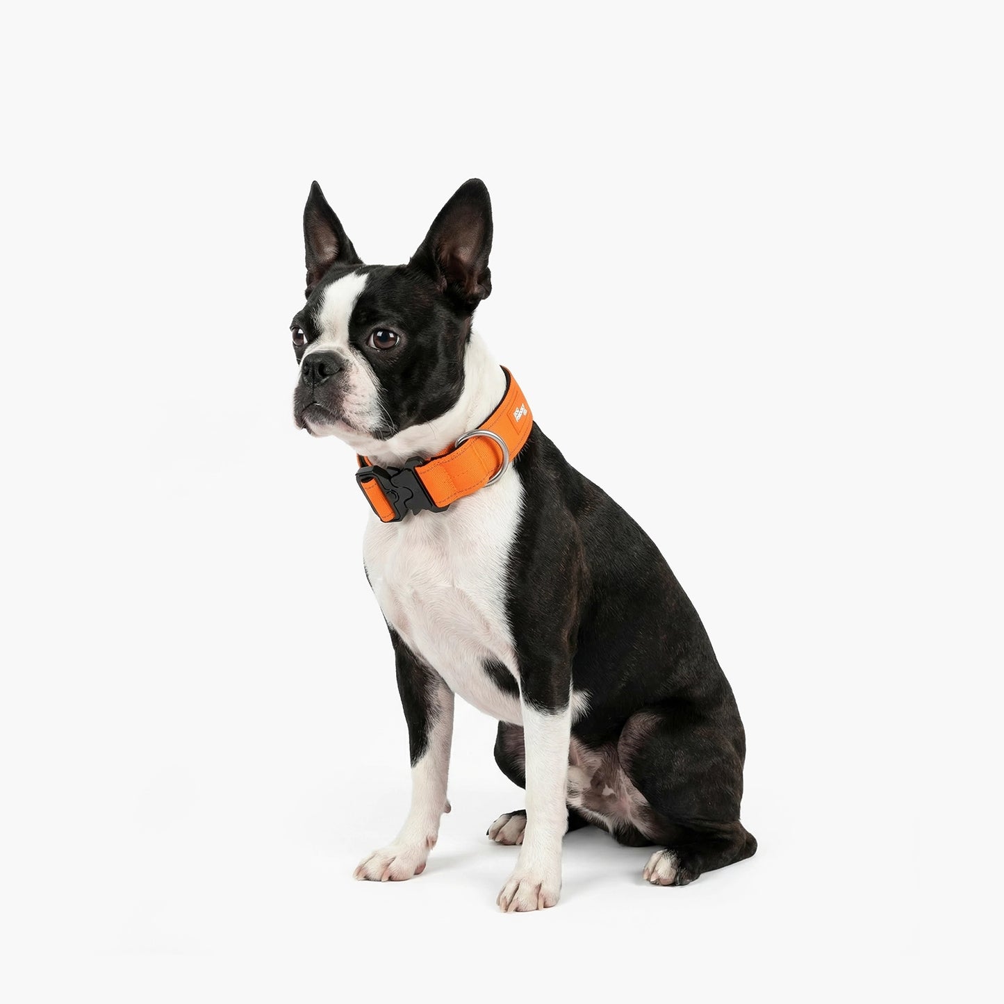 Tactical Dog Collar - Orange