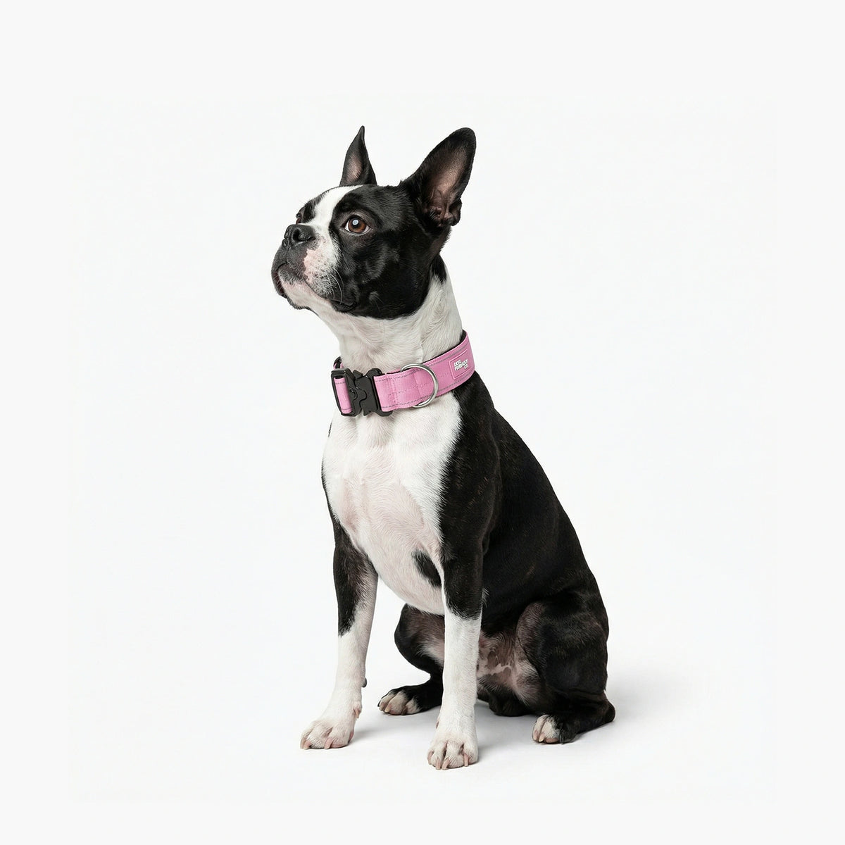 Tactical Dog Collar - Pink