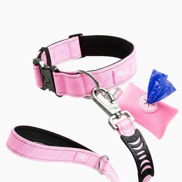 Collar Walk Set