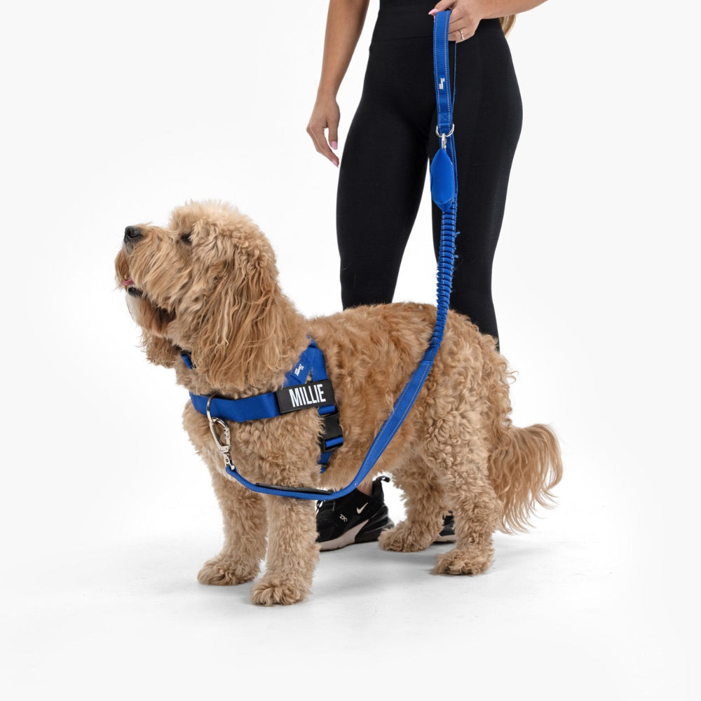 Ultimate No-Pull Bundle - Classic Blue