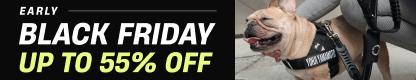 Promotional banner