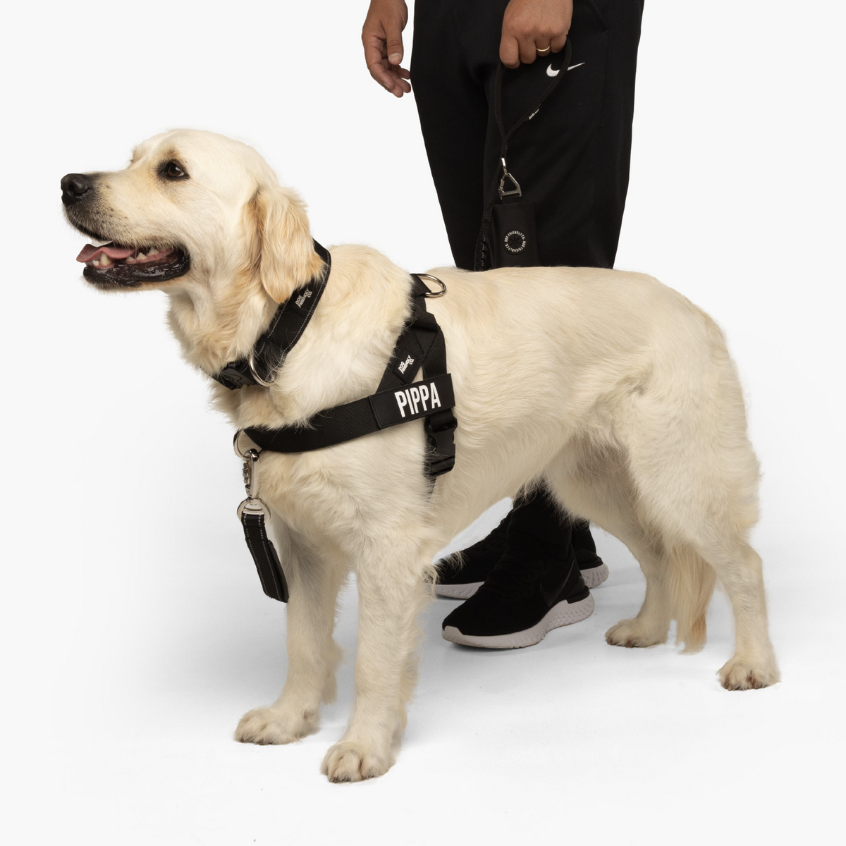 Dog Lovers Pack