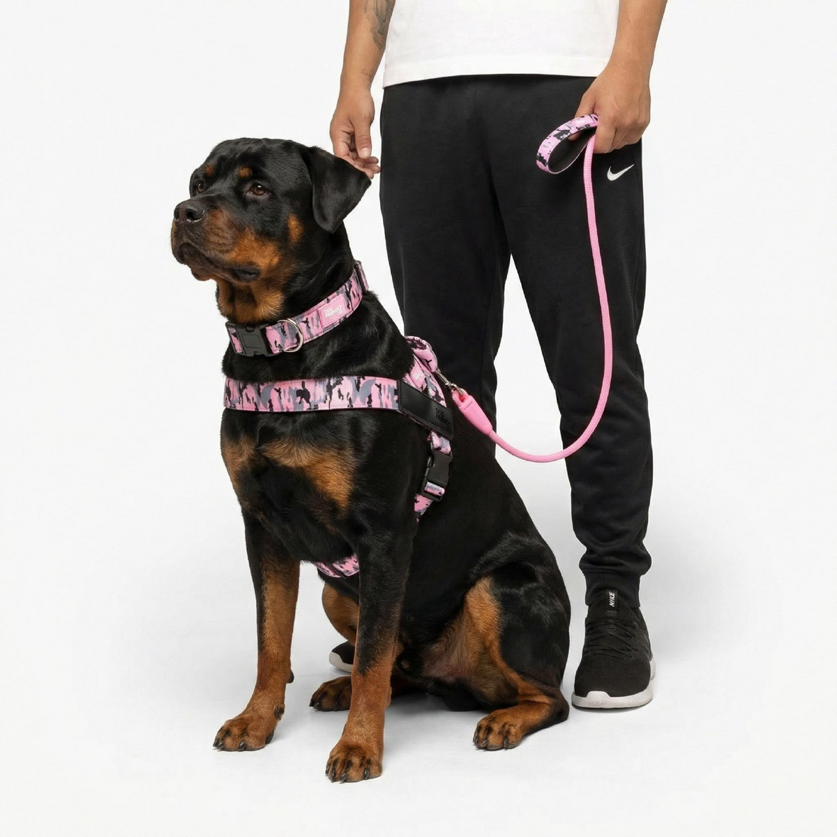Dog Lovers Pack