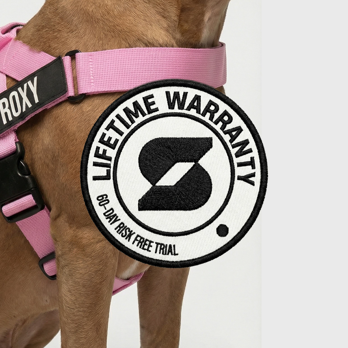 Dog Lovers Pack