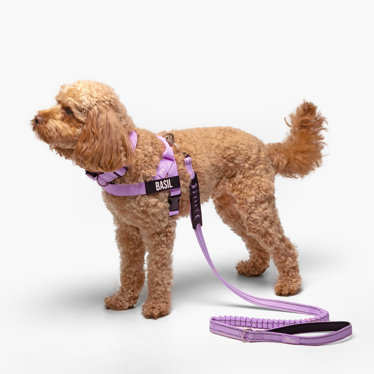 Dog Lovers Pack