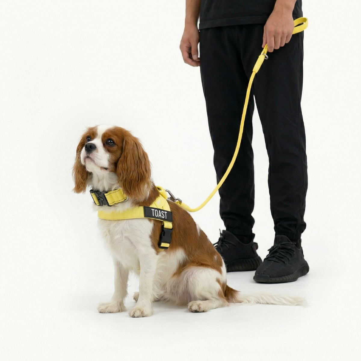 Dog Lovers Pack