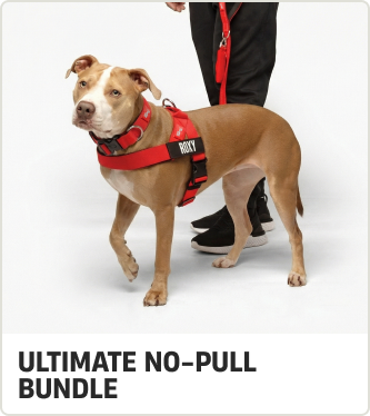 ULTIMATE NO-PULL BUNDLE