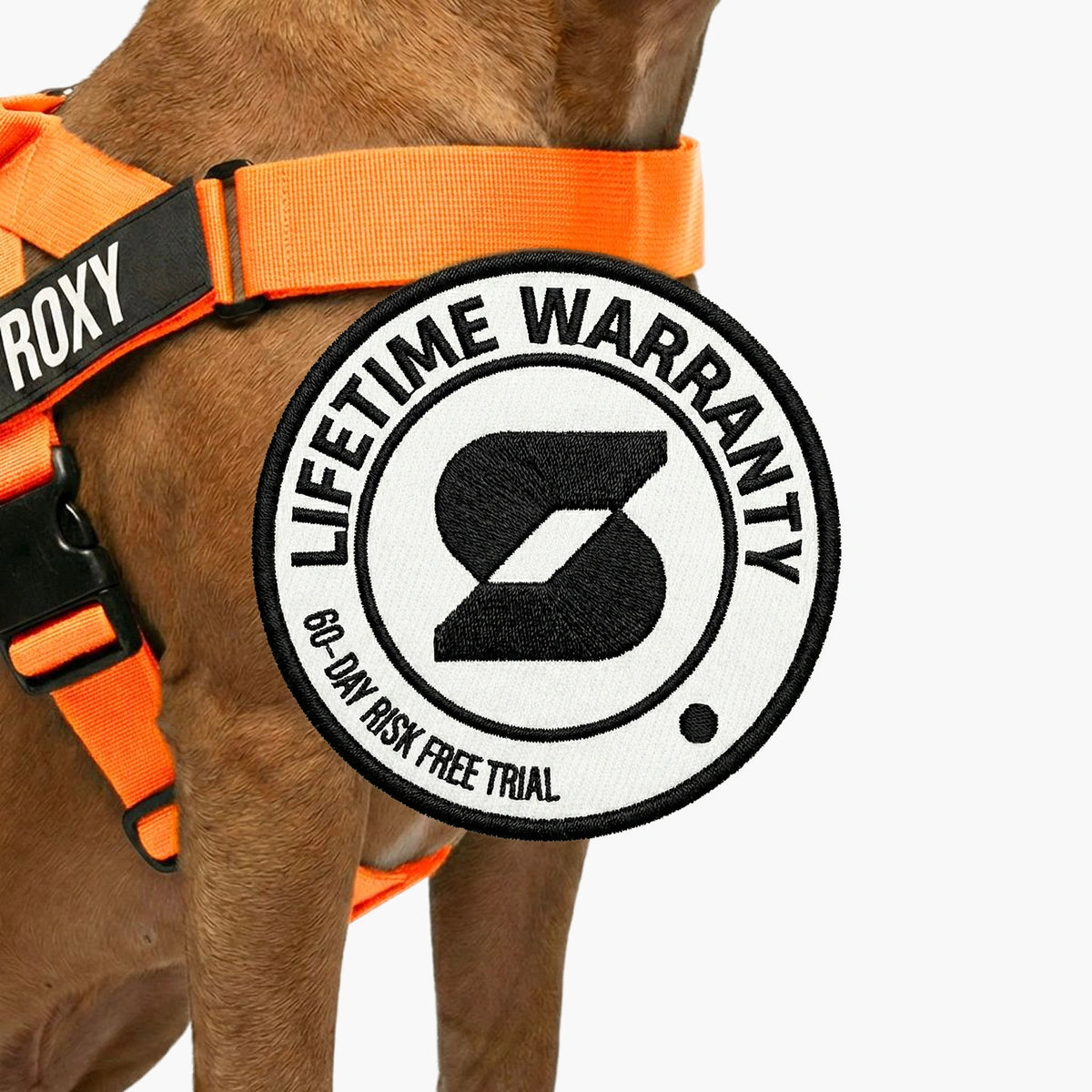 Dog Lovers Pack - Orange
