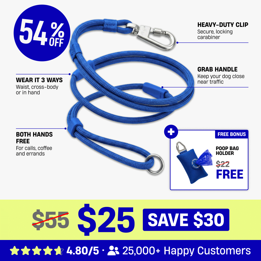 Hands Free Leash + Poop Bag Holder