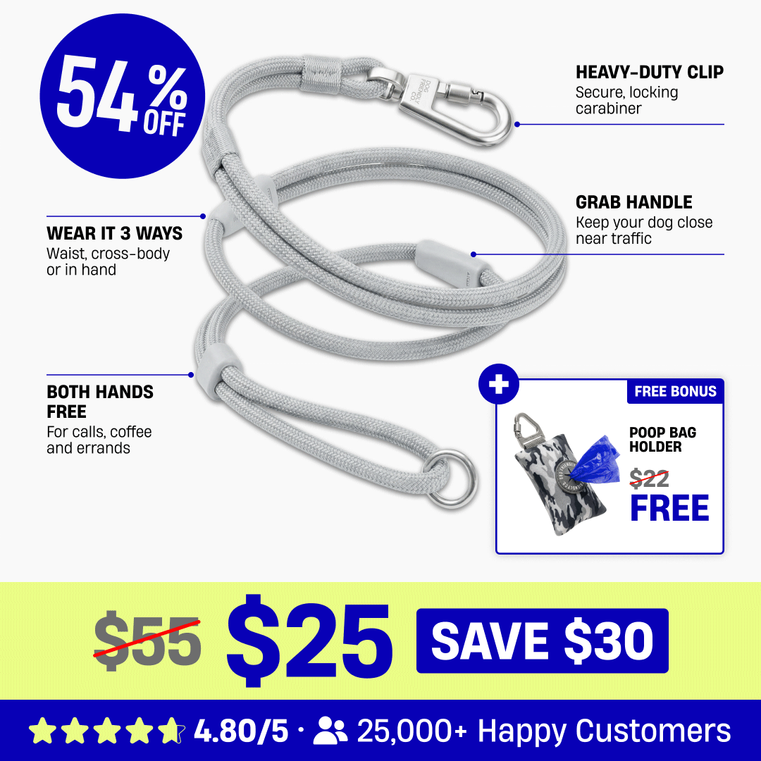 Hands Free Leash + Poop Bag Holder