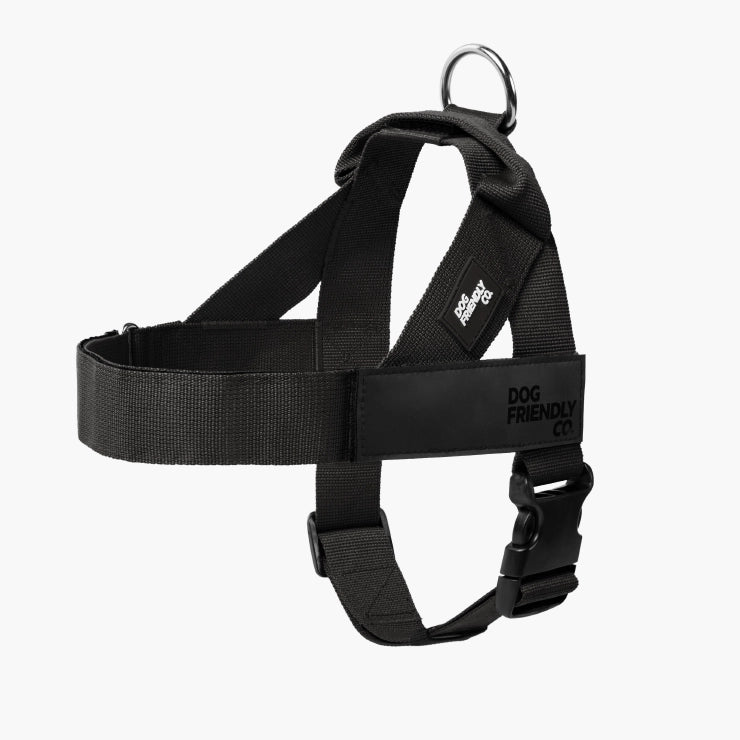 Personalised Dog Harness - Black