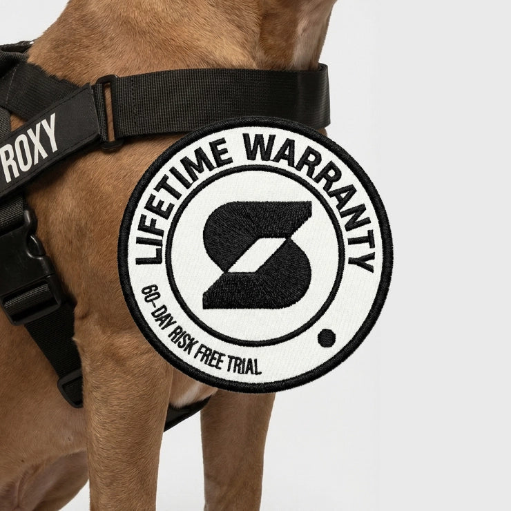 Personalised Dog Harness - Black