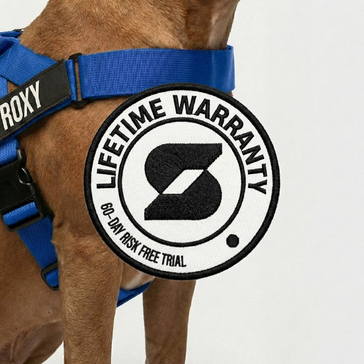 Personalised Dog Harness - Classic Blue