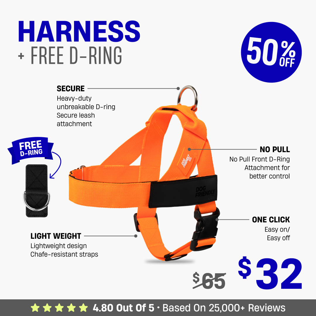 Dog Harness + FREE D-ring - 50% OFF