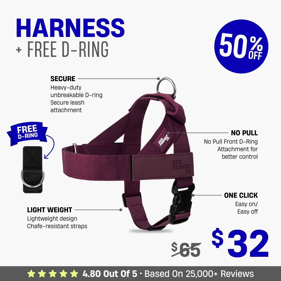 Dog Harness + FREE D-ring - 50% OFF