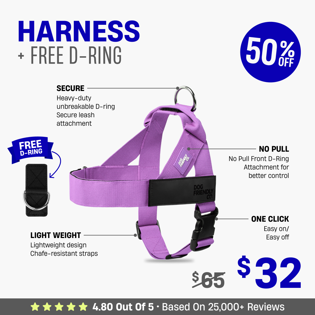 Dog Harness + FREE D-ring - 50% OFF