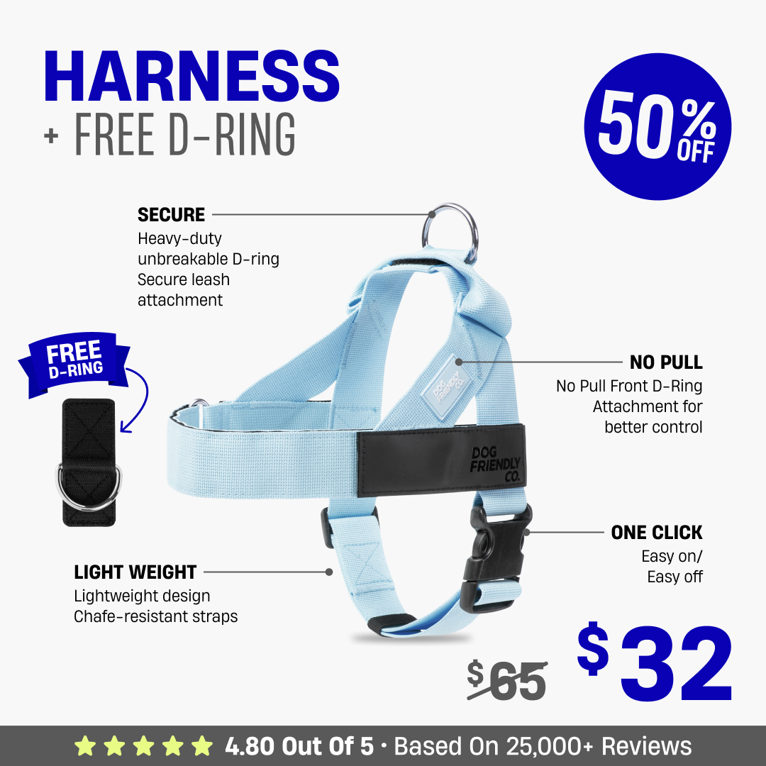 Dog Harness + FREE D-ring - 50% OFF