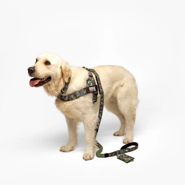 Personalised Dog Harness - Green Camo