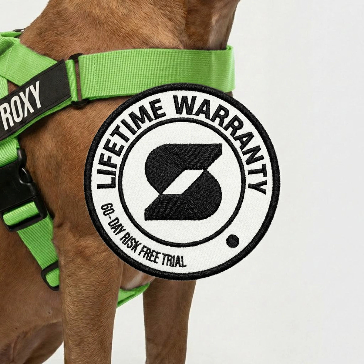 Personalised Dog Harness