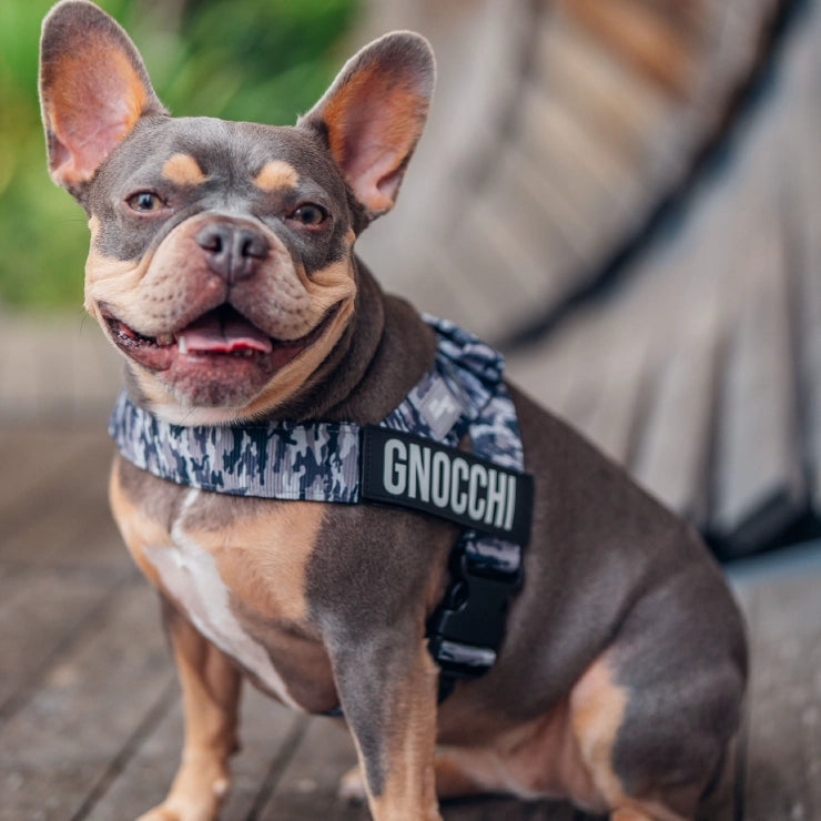 Personalised Dog Harness - Grey Camo