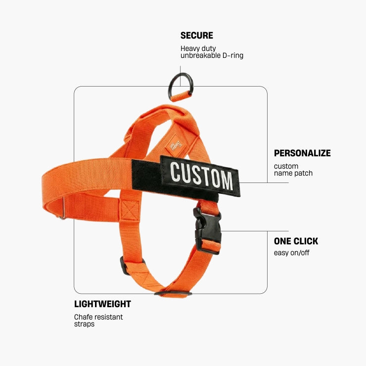 Personalised Dog Harness - Orange