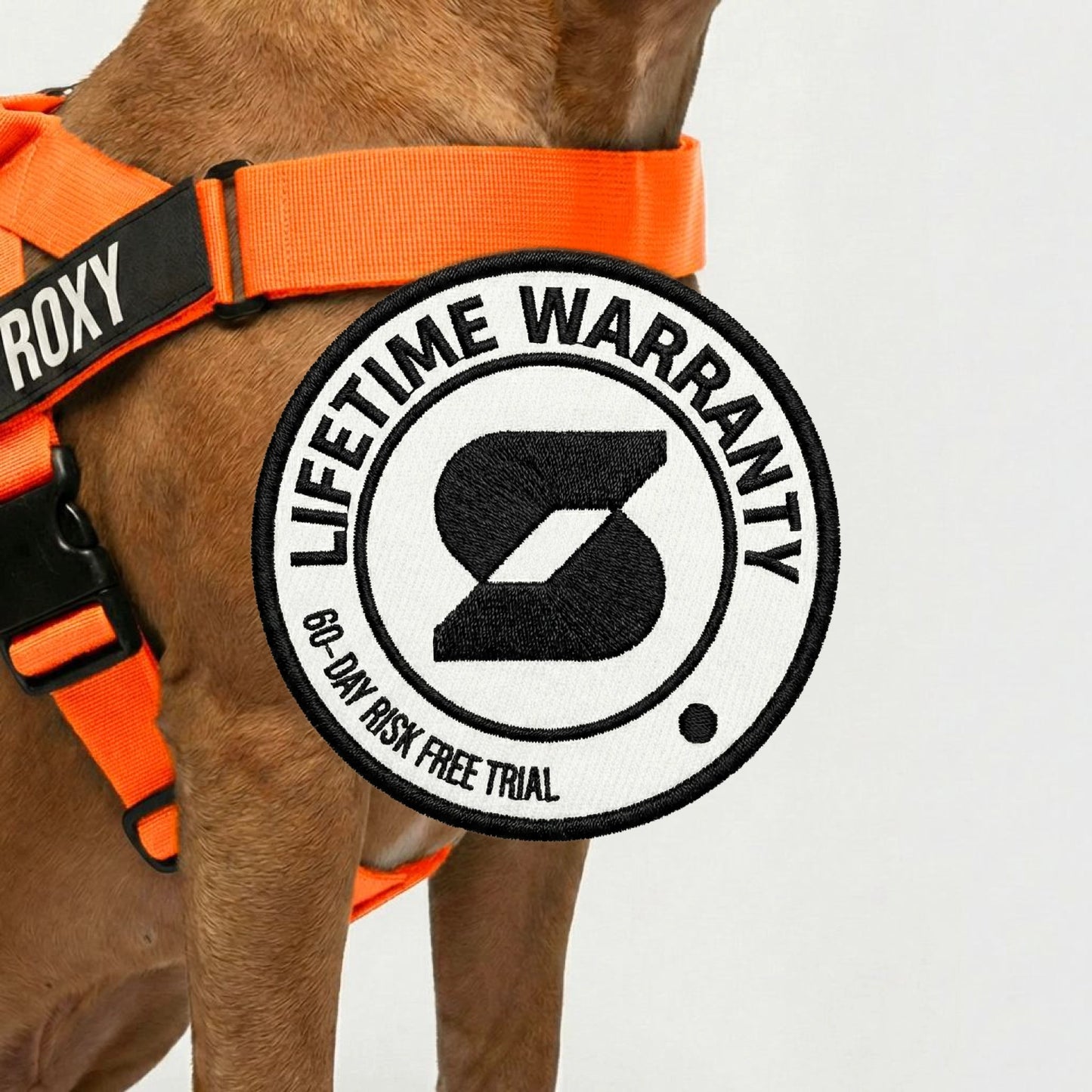 Personalised Dog Harness - Orange
