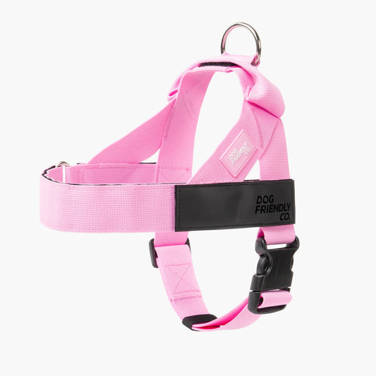 Personalised Dog Harness - Pink