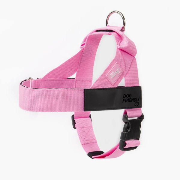 Harnesses