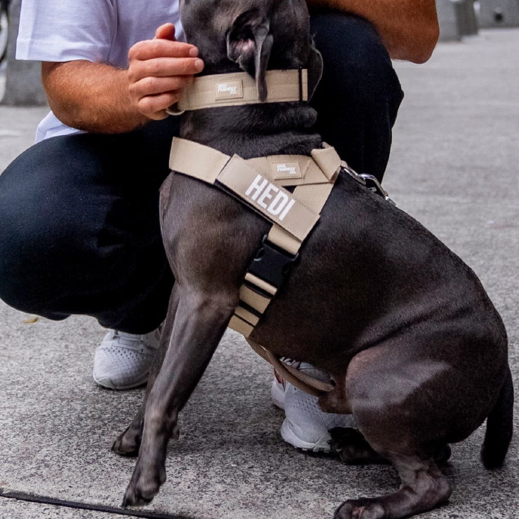 Personalised Dog Harness - Brown