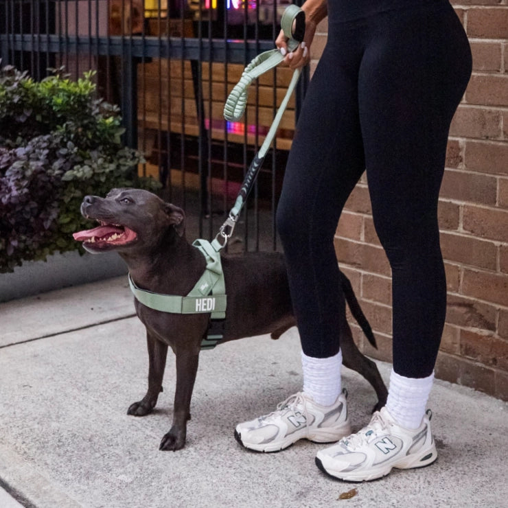 Personalised Dog Harness - Khaki