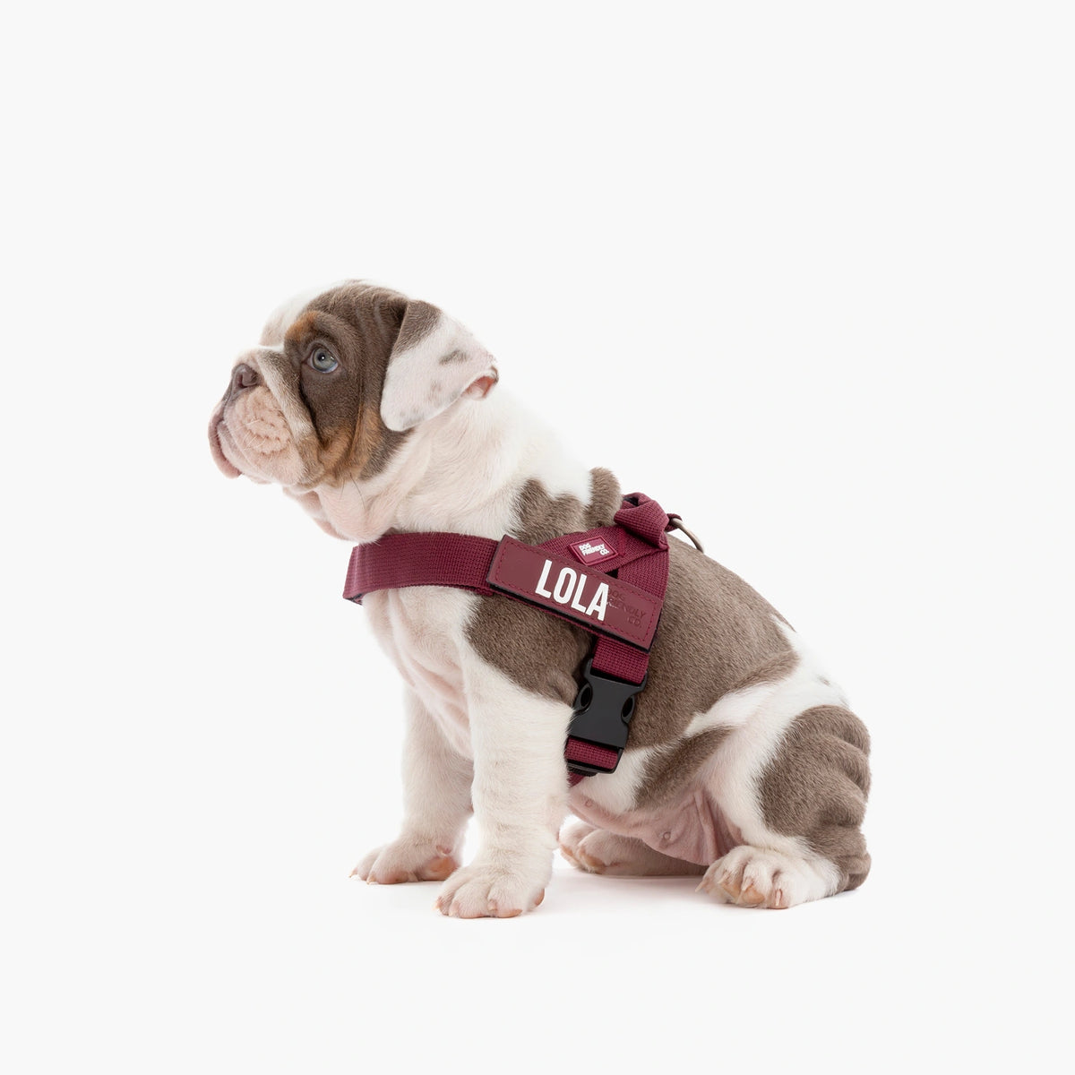 Harness - Premium Burgundy