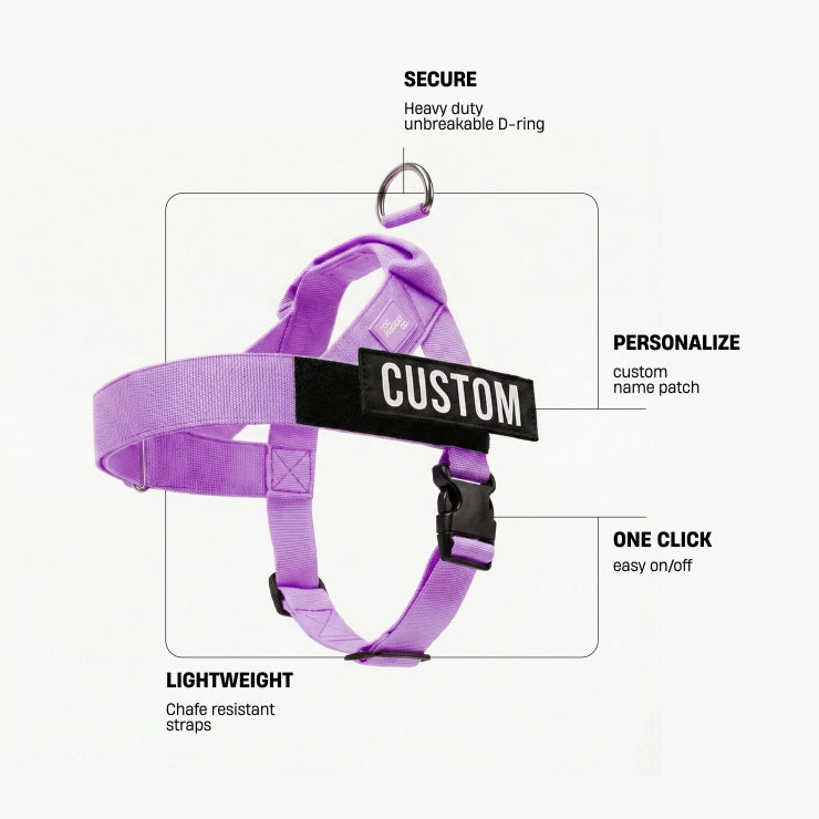 Personalised Dog Harness - Purple