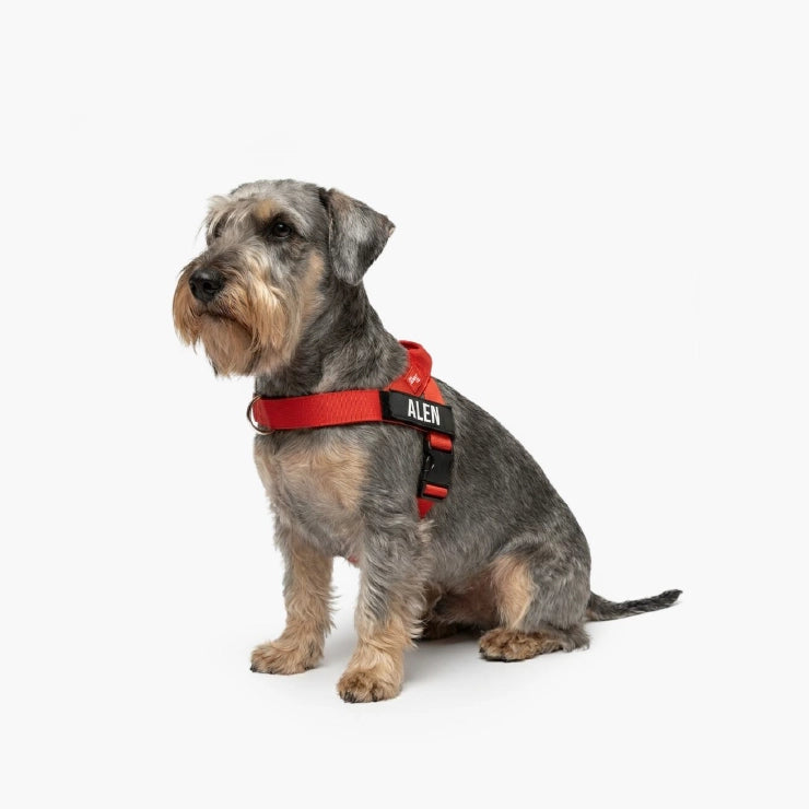 Personalised Dog Harness - Red