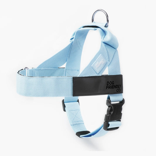 Personalised Dog Harness - Sky Blue