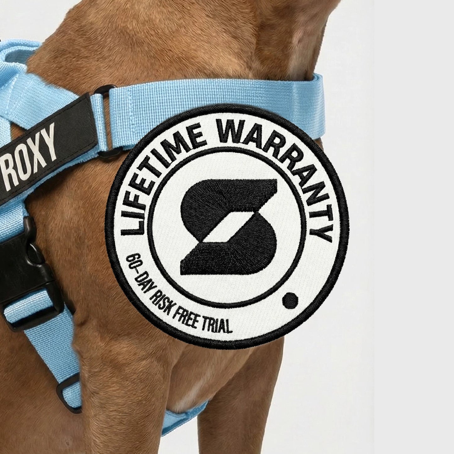 Personalised Dog Harness - Sky Blue