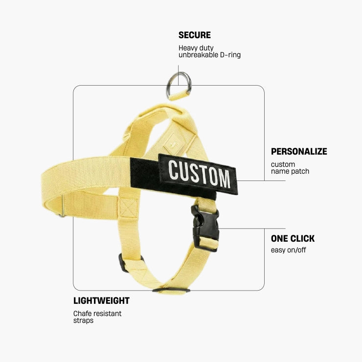 Personalised Dog Harness - Yellow