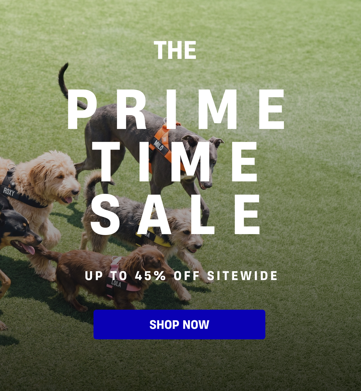 Prime Time Sale