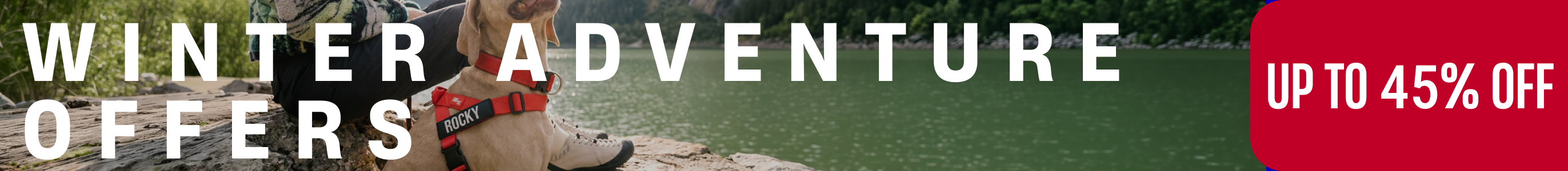 Promotional banner
