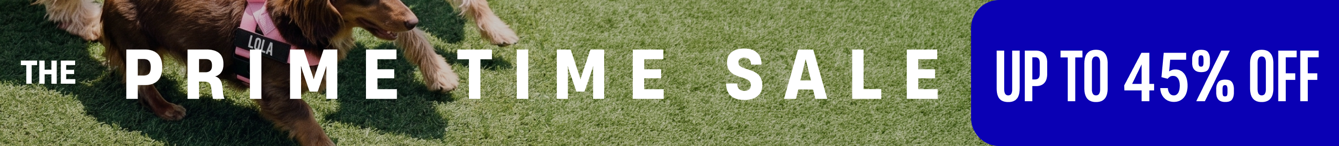 Promotional banner