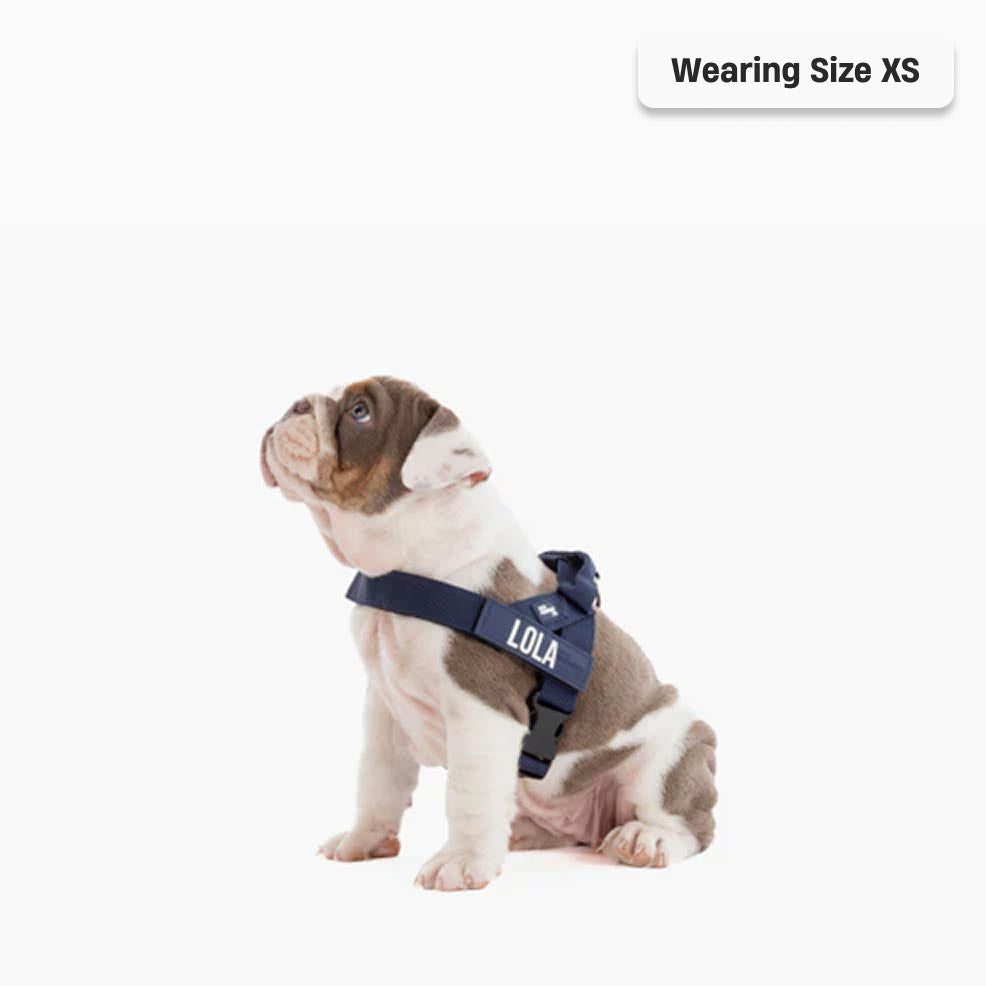 Signature Kit - Navy Blue