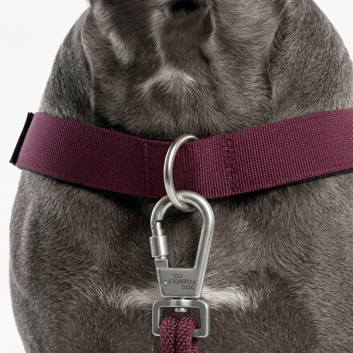 No-Pull D-Ring Harness Attachment