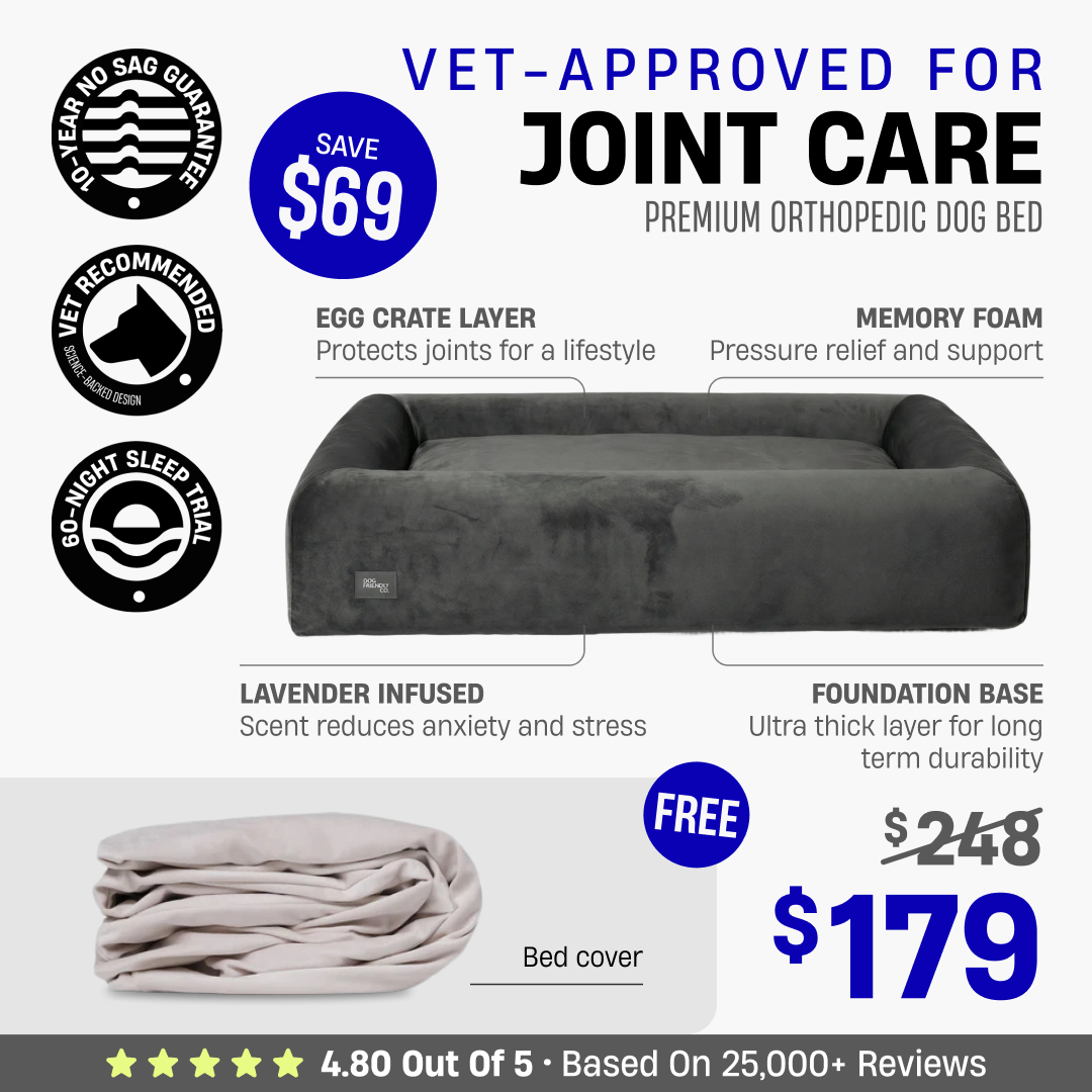 Premium Orthopedic Dog Bed + FREE Bed Cover