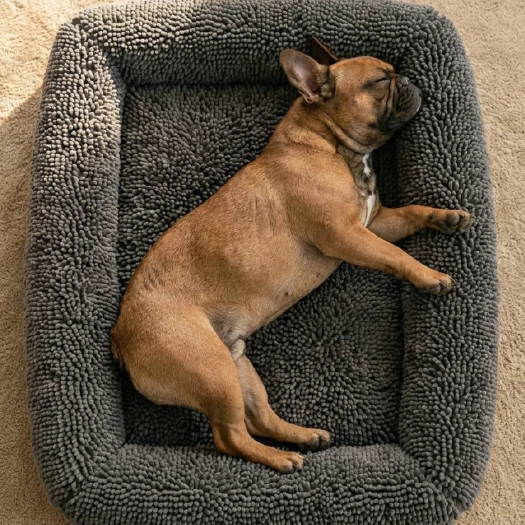 Plush Nap Easy Fit Dog Bed Cover - Charcoal