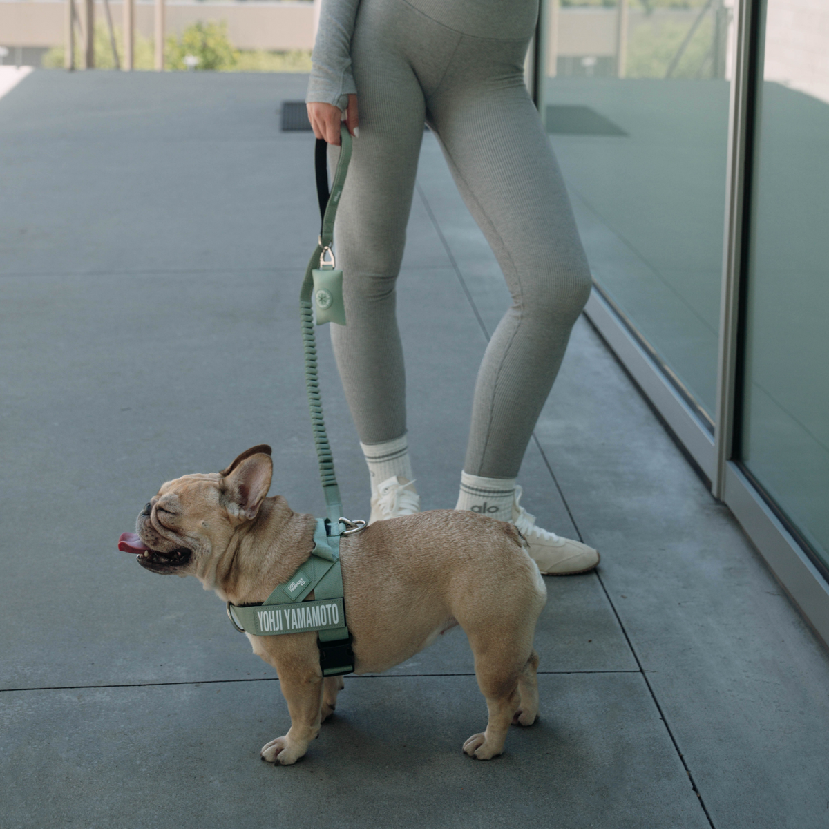 Dog Poop Bag Holder - Khaki