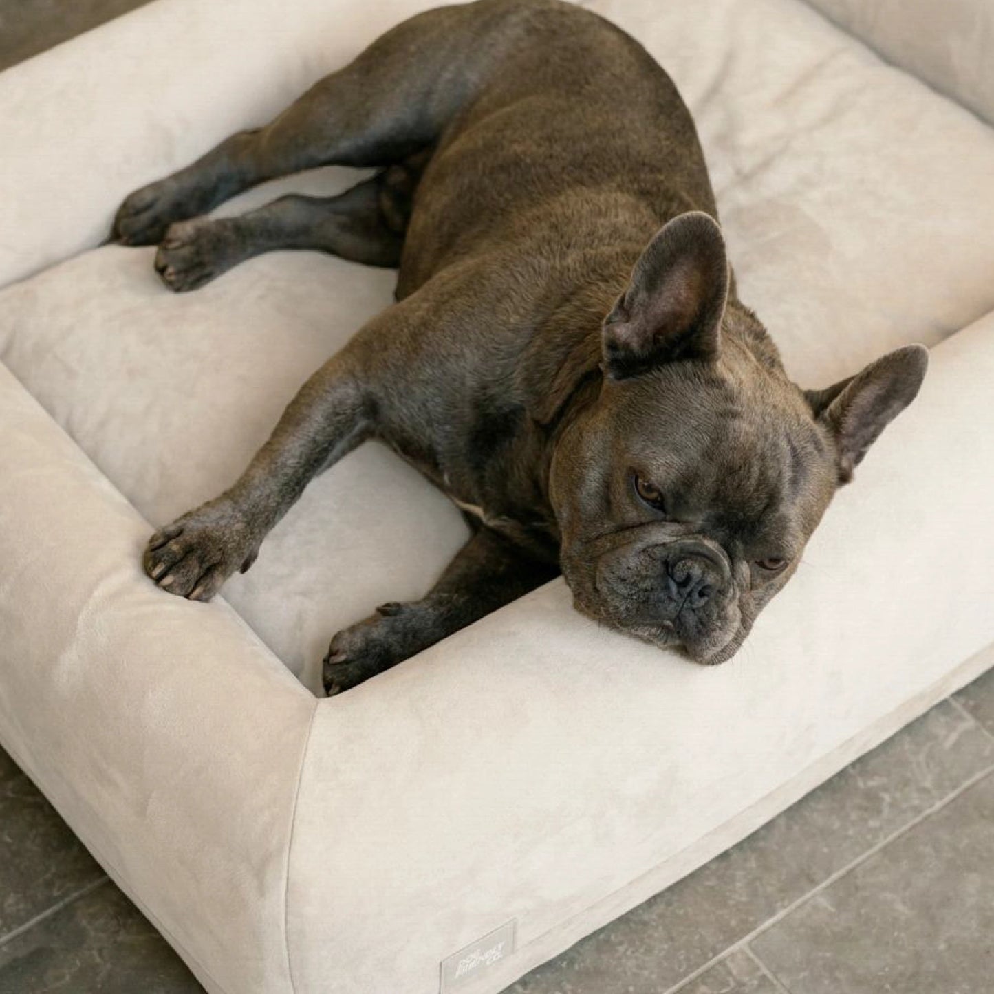 Replacement Cover - Beige